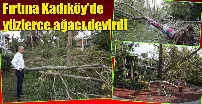 Fırtınada Kadıköy’de yüzlerce ağaç devrildi