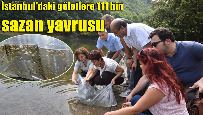 İstanbul’daki göletlere 111 bin sazan yavrusu bırakıldı