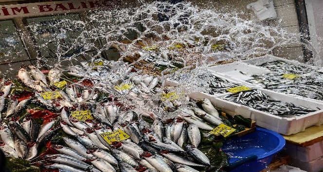 Balık fiyatları vatandaşın cebini yakıyor
