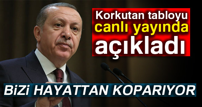 Erdoğan: “Gençler internette günde oratlama 6 saat vakit geçiriyor”