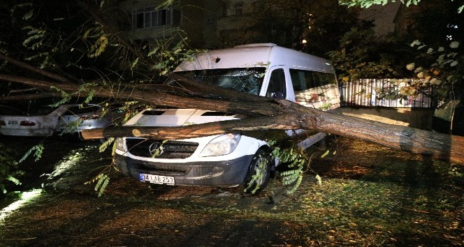 Şiddetli fırtınada ağaç minibüsün üstüne devrildi