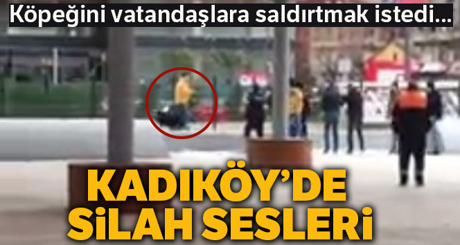 Kadıköy’de köpekli kavgaya polis silahla müdahale etti