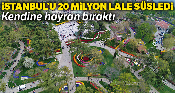 İstanbul Lalelerine yeniden kavuştu