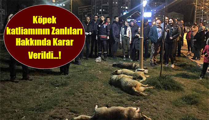 Ankara’da yaşanan köpek katliamında yeni gelişme