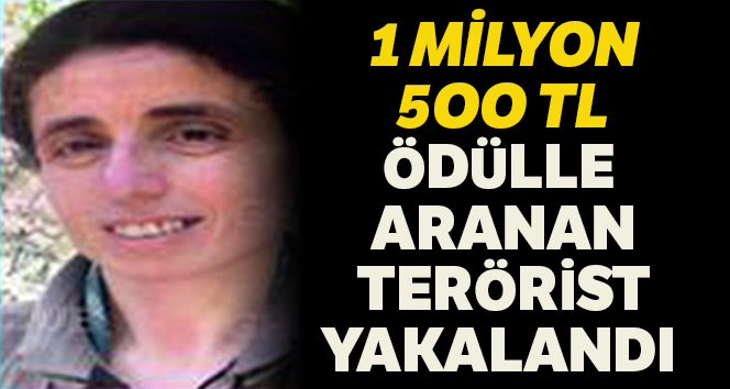 1 milyon 500 bin TL ödülle aranan terörist yakalandı