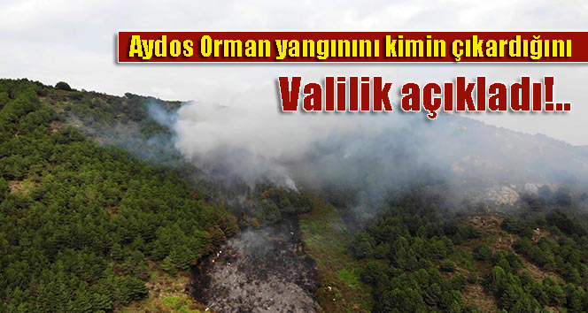 Aydos Orman yangınını kimin çıkardığını Valilik açıkladı