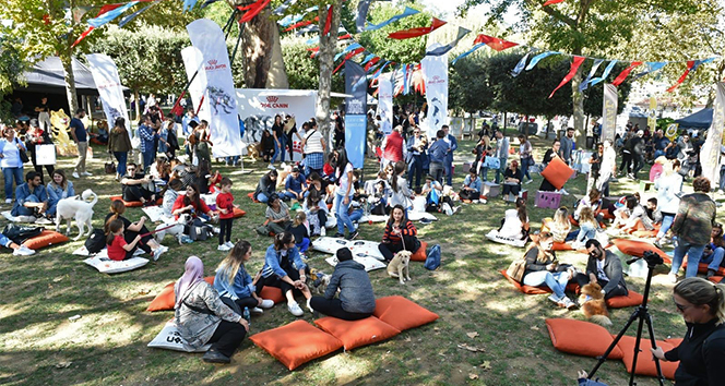 Türkiye’nin ilk Evcil Hayvan ve Yaşam Festivali ‘Petival’ renkli anlara sahne oldu
