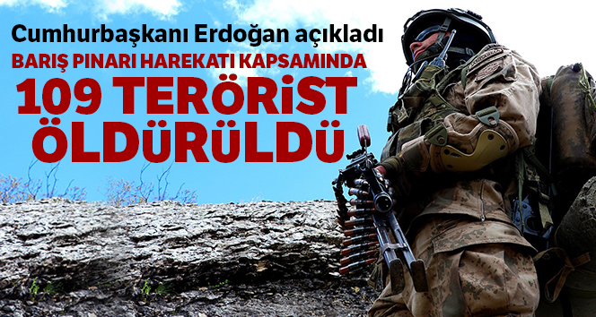 Cumhurbaşkanı Erdoğan: ‘Barış Pınarı Harekatı kapsamında 109 terörist öldürüldü’