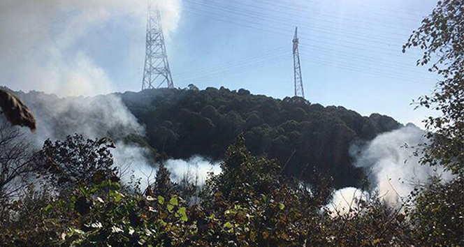 Beykoz Anadolu Kavağı’nda ormanlık alanda yangın
