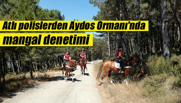 Atlı polislerden Aydos Ormanı’nda mangal denetimi