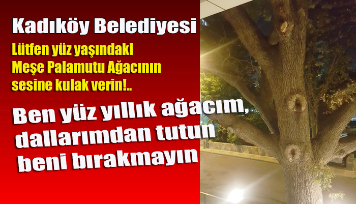 Kadıköy Belediyesi lütfen yüz yaşındaki Meşe Palamutu Ağacının sesine kulak verin