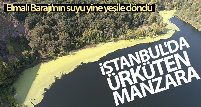 İstanbul’da Elmalı Barajı’nın suyu yine yeşile döndü