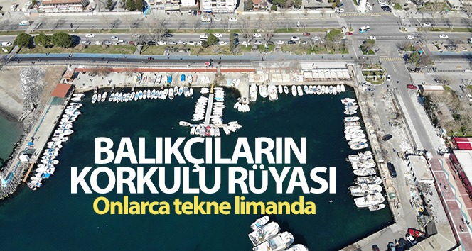 Marmara’da Balıkçıların korkulu rüyası ‘Kaykay’: 1 ay sonra yine salya ile döndüler