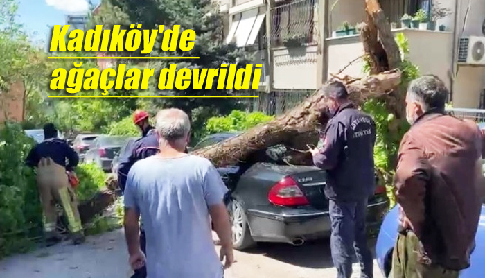 Kadıköy’de ağaçlar devrildi, otomobiller hasar gördü