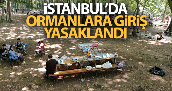 İstanbul’da ormanlara giriş yasaklandı
