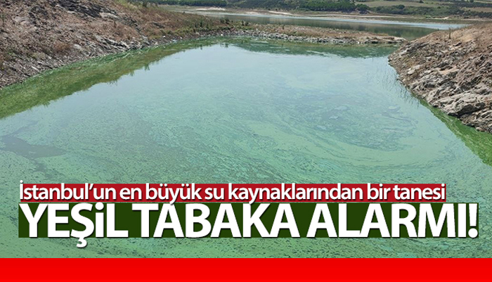 İstanbul’da bu göl tehlike saçıyor, gölün rengi yeşile döndü