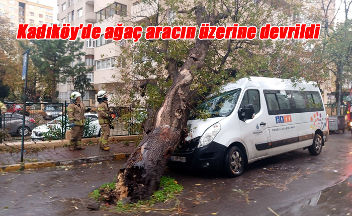 Kadıköy’de kopan ağaç park halindeki İBB aracının üzerine devrildi