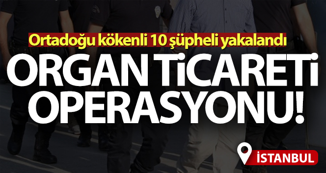 İstanbul’da organ ticareti yapanlara operasyonu!