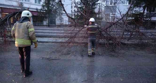 Kadıköy’de şiddetli fırtınanın etkisiyle ağaç ve elektrik direği devrildi