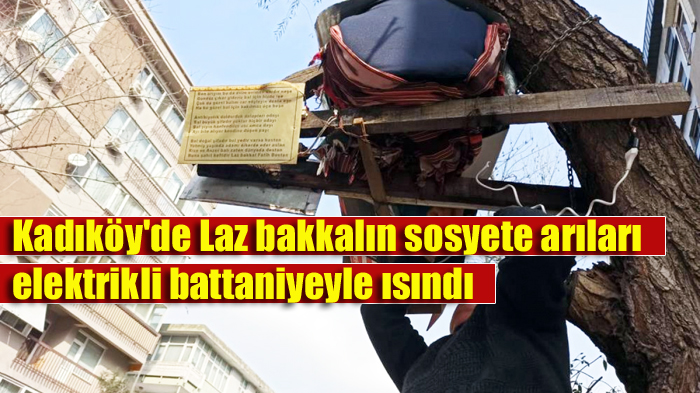 Kadıköy’de Laz bakkalın sosyete arıları elektrikli battaniyeyle ısındı