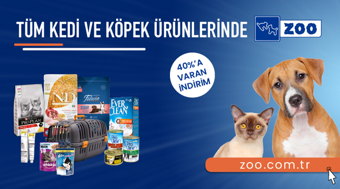 Kedi Maması ve Kedi Malzemeleri Şaşırtan Fiyatlarla Zoo.com.tr ‘de!