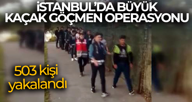 İstanbul’da 7 ilçede yapılan uygulamada 503 kaçak göçmen yakalandı