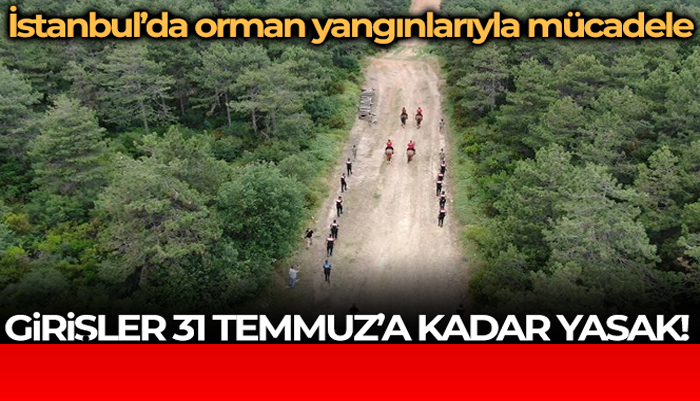 İstanbul’da ormanlık alanlara girişler 31 Temmuz’a kadar yasaklandı