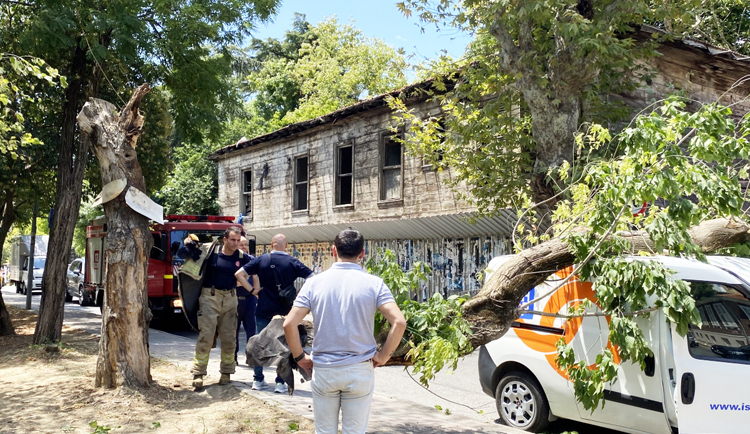 Kadıköy’de seyir halindeki aracın üzerine ağaç devrildi
