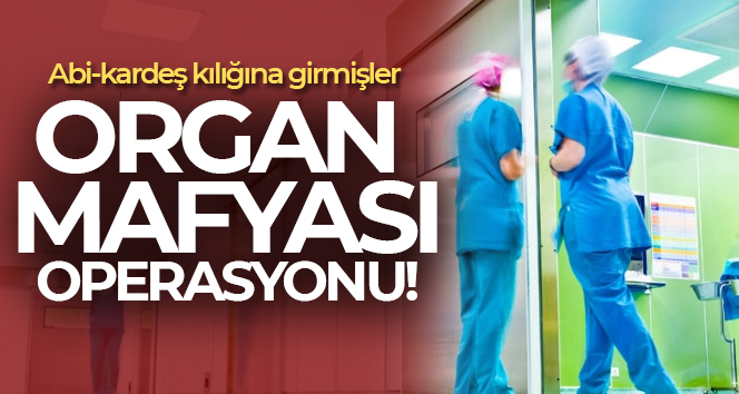 İstanbul’da organ mafyasına operasyon: Satmak isteyenler de gözaltına alındı