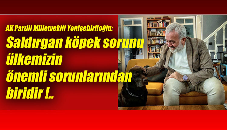AK Partili Milletvekili Yenişehirlioğlu: Saldırgan köpek sorunu ülkemizin önemli sorunlarından biridir