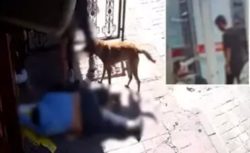 Baygın halde yatan sara hastasını soydular! İnsanlığın bittiği anlar kamerada