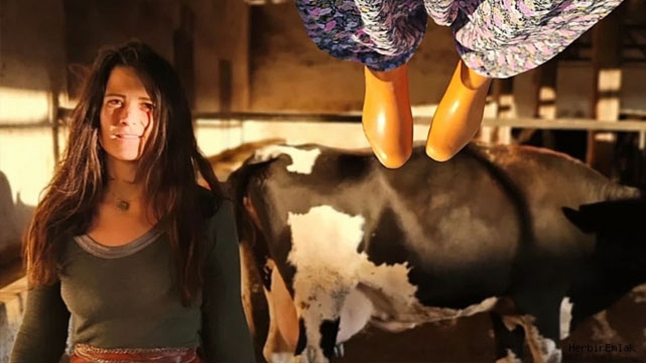 İstanbul’un göbeğinden köy hayatına: Elif Boyner tasavvufa yönelip, köye yerleşti!